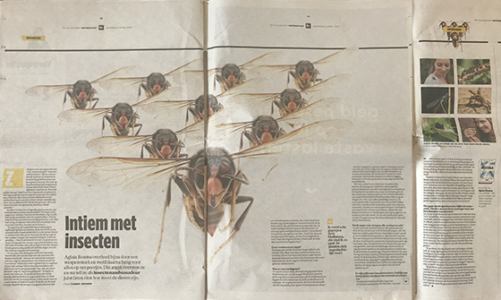 Volkskrant