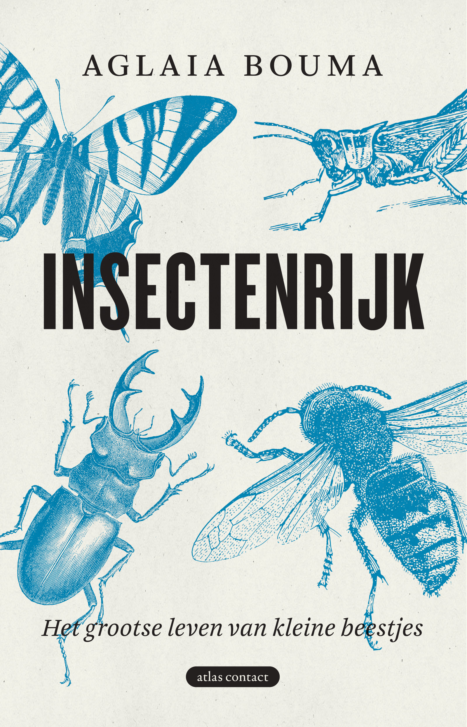 Insectenrijk